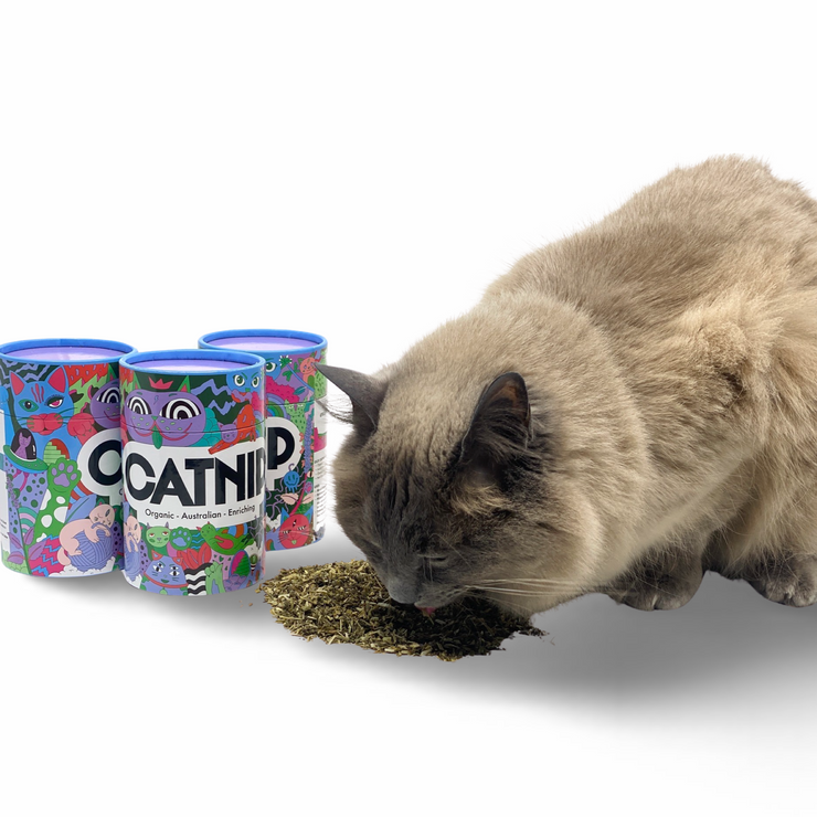 Uncanny Animals Top Shelf Catnip