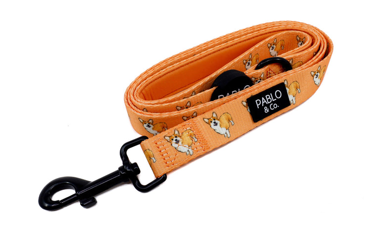 Corgi Breed Leash