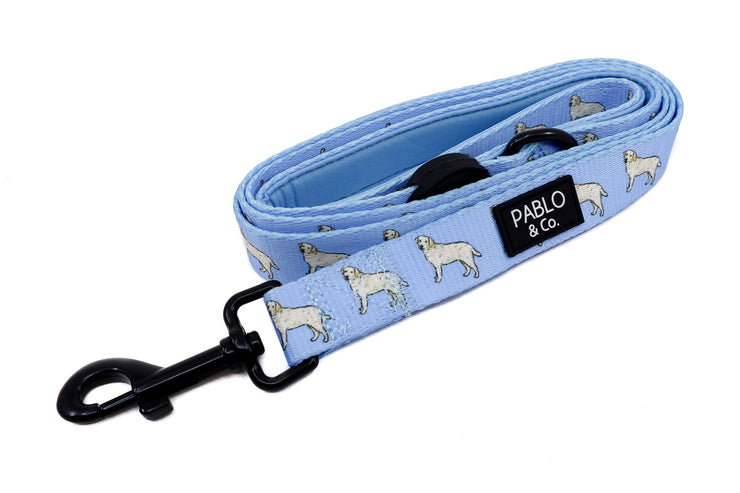 Labrador Breed Leash