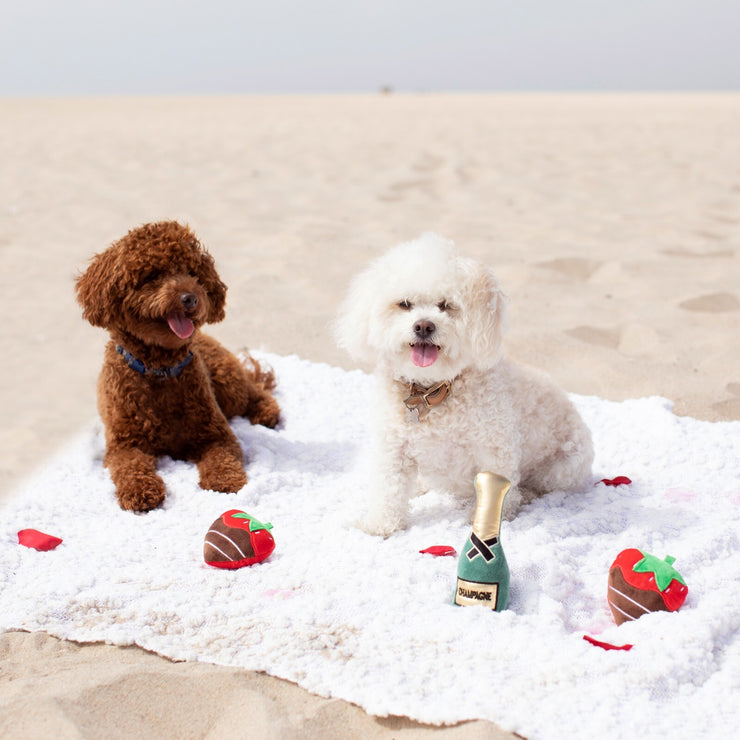 Fringe Studio Champagne Strawberry 3-piece Small Dog Toy Set