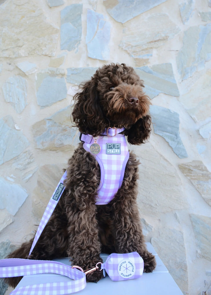 Berry Milkshake Gingham Harness