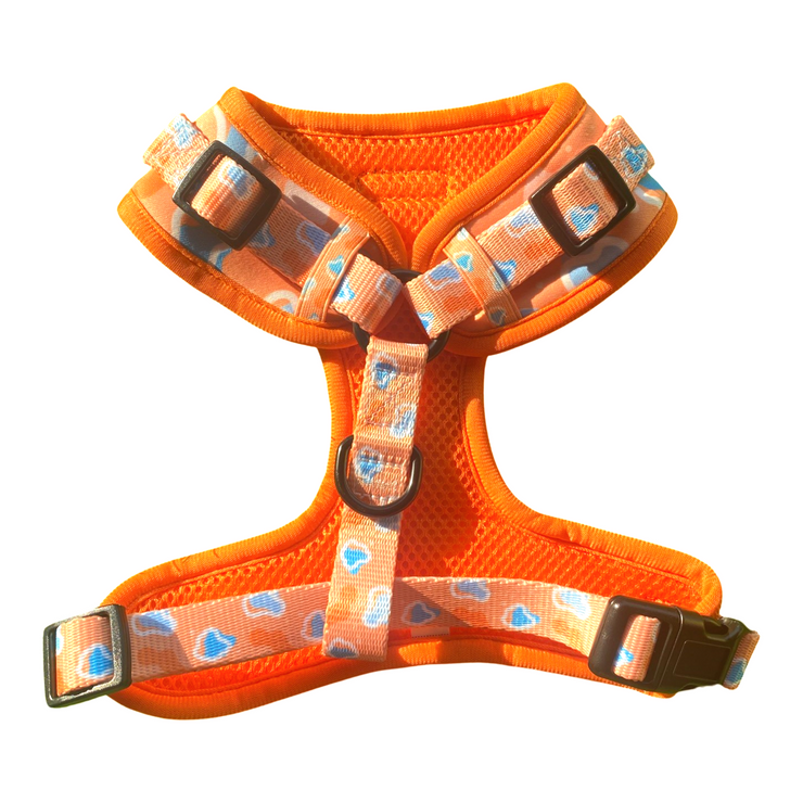 Blobby Orange Adjustable Harness