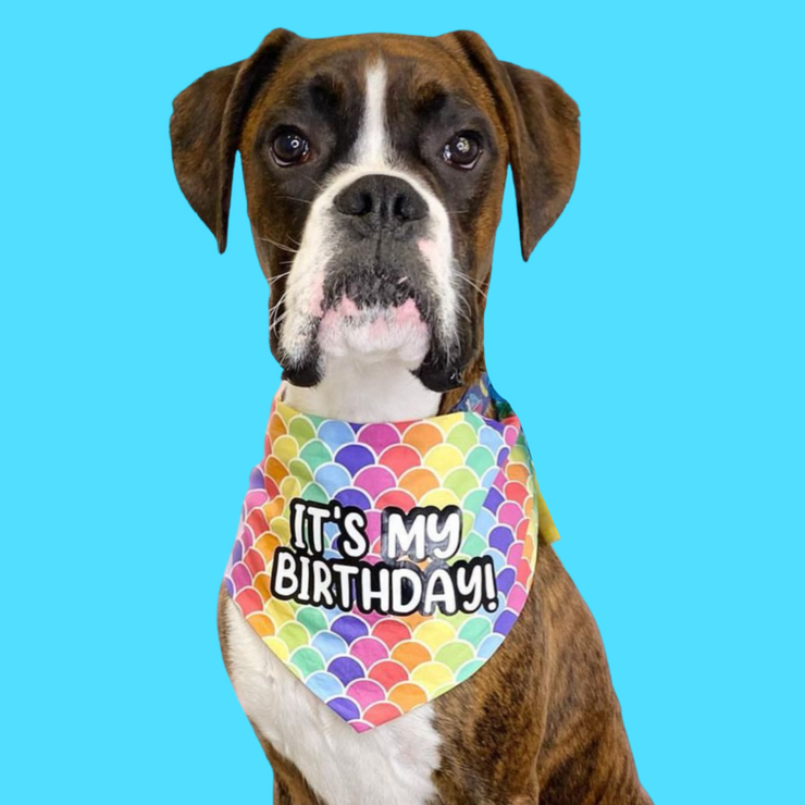 It's My Birthday! Bandana