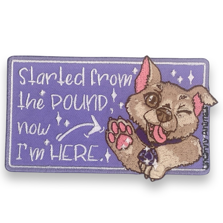 "Started From The Pound Now I'm Here" Iron-On Patch