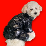 Black Four-legged Winter Padded Puffer Jacket