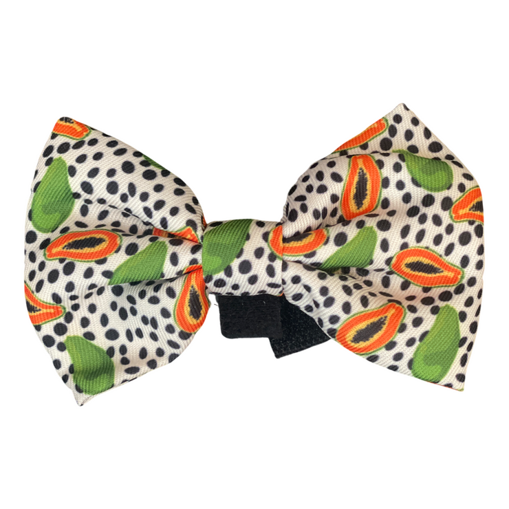 Papaya Bowtie