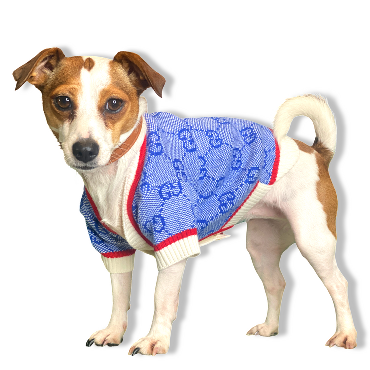 Preppy Pup Cardigan Sweater - Blue