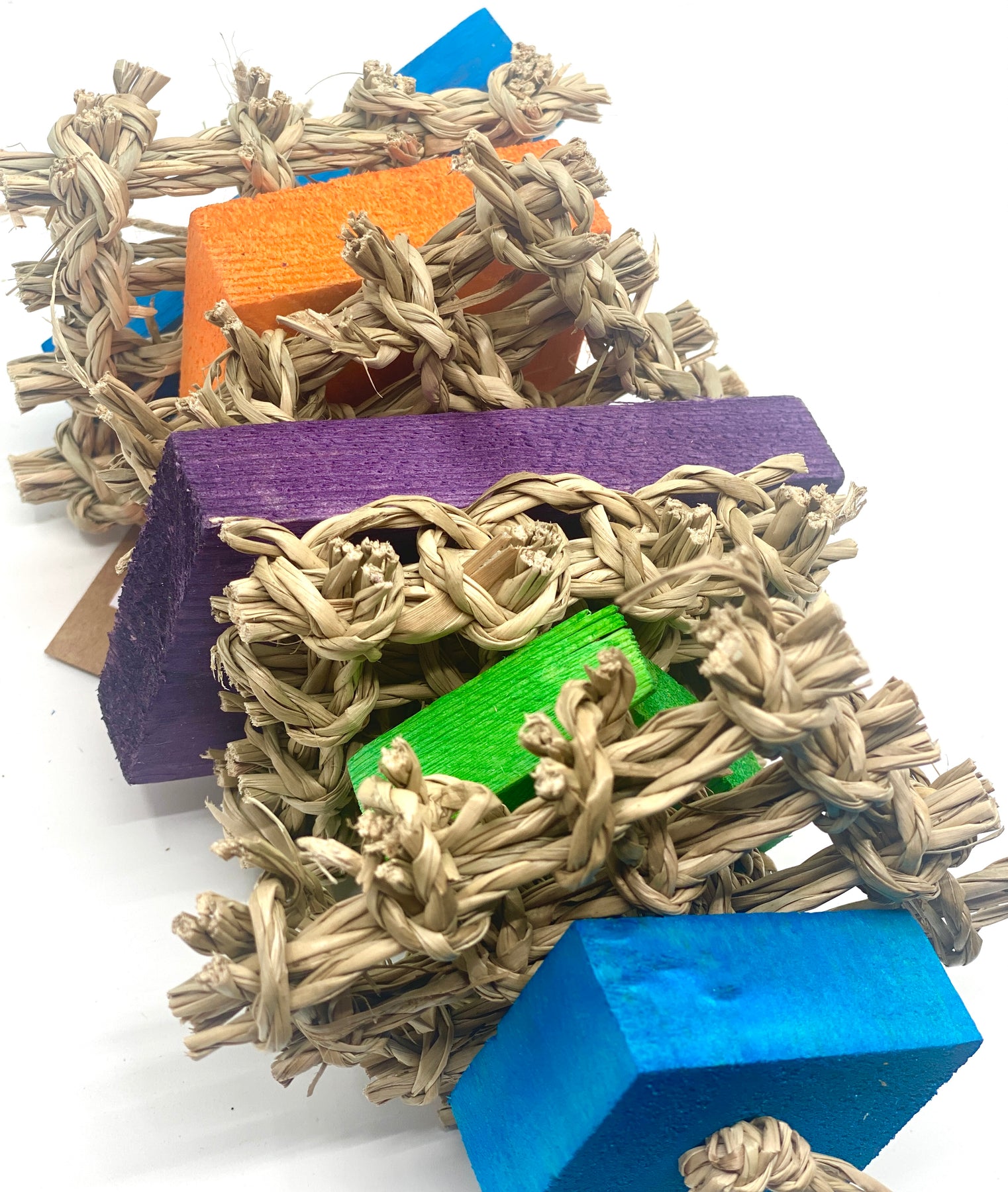 Rabbit Grooming – Uncanny Animals