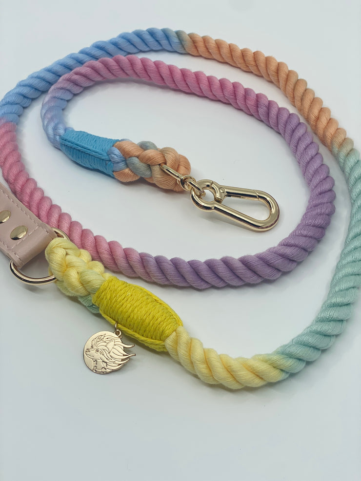 Braided Cotton Rope Dog Leash With Vegan Leather Handle - Rainbow