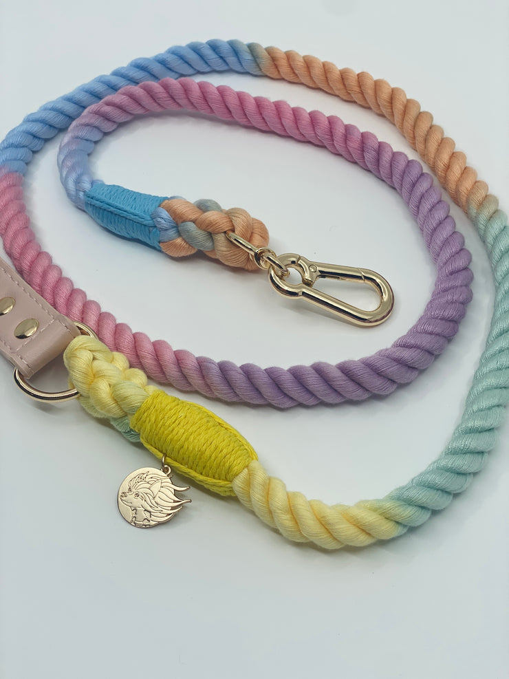 Braided Cotton Dog Leash With Vegan Leather Handle - Rainbow