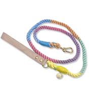 Braided Cotton Dog Leash With Vegan Leather Handle - Rainbow