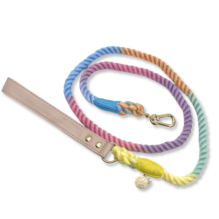Braided Cotton Rope Dog Leash With Vegan Leather Handle - Rainbow