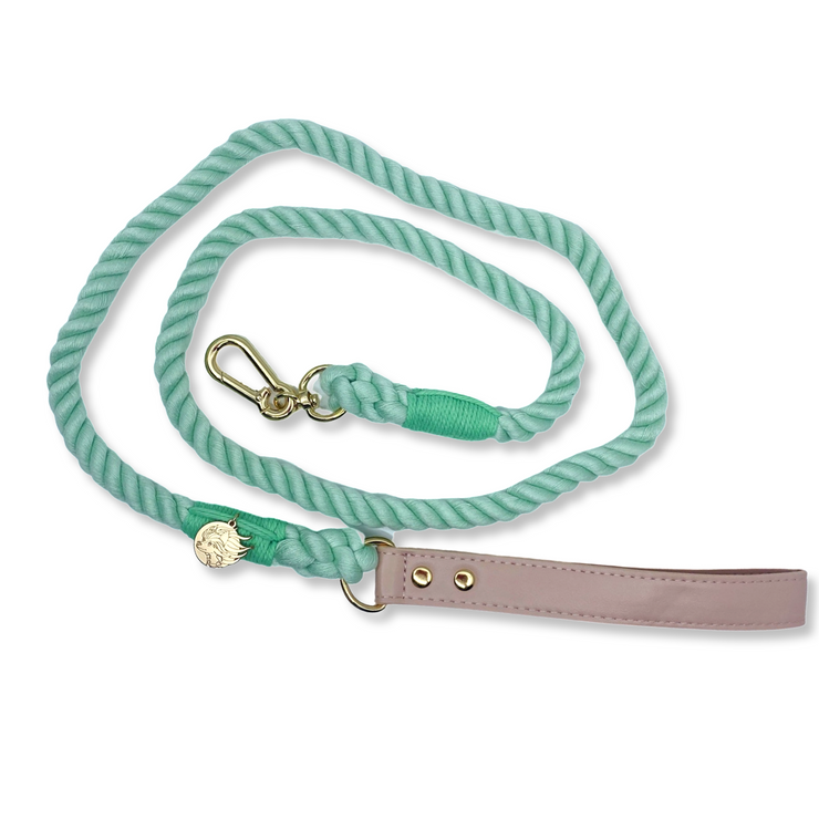 Braided Cotton Dog Leash With Vegan Leather Handle - Fresh Mint