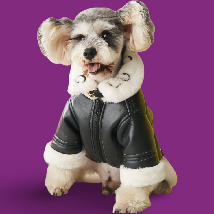 Faux Leather Lucky Pet Jacket