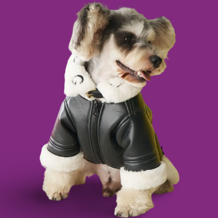 Faux Leather Lucky Pet Jacket