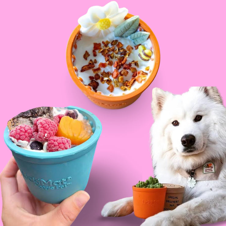 Lickimat Yoggie Pot Slow Feeder Dog Bowl