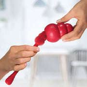 KONG Treat Dispensing Cat & Dog Toy Cleaning Brush