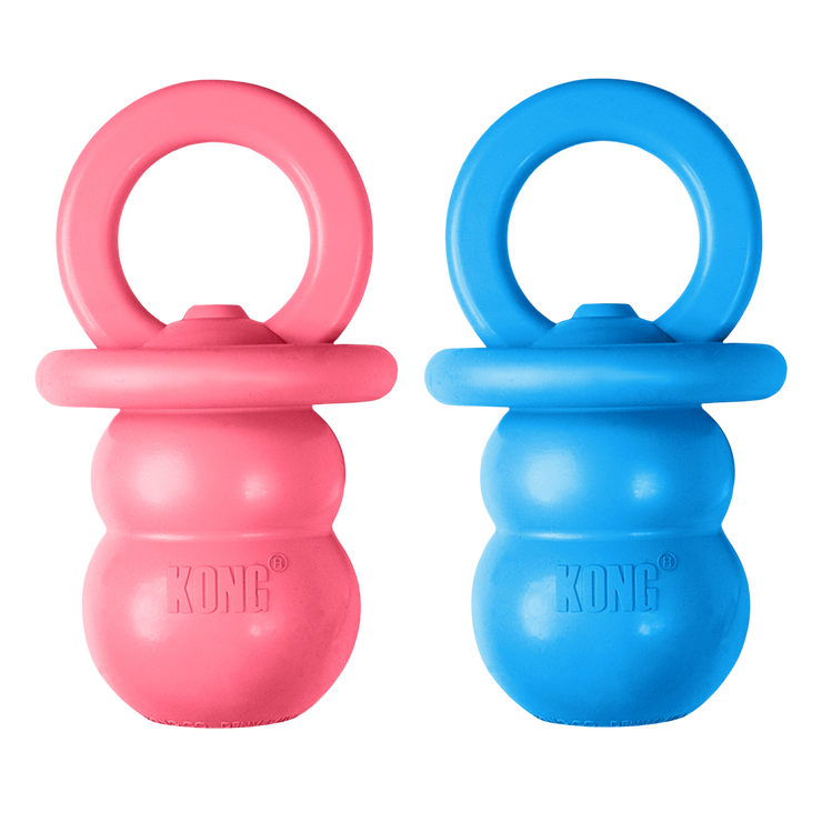 Puppy Binki Dummy Teething Treat Dispensing Dog Toy