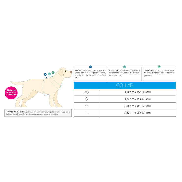 Smart ID Dog Collar - Comic