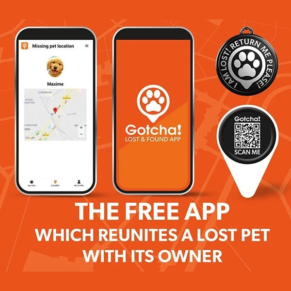 Smart ID Dog Collar - Magical