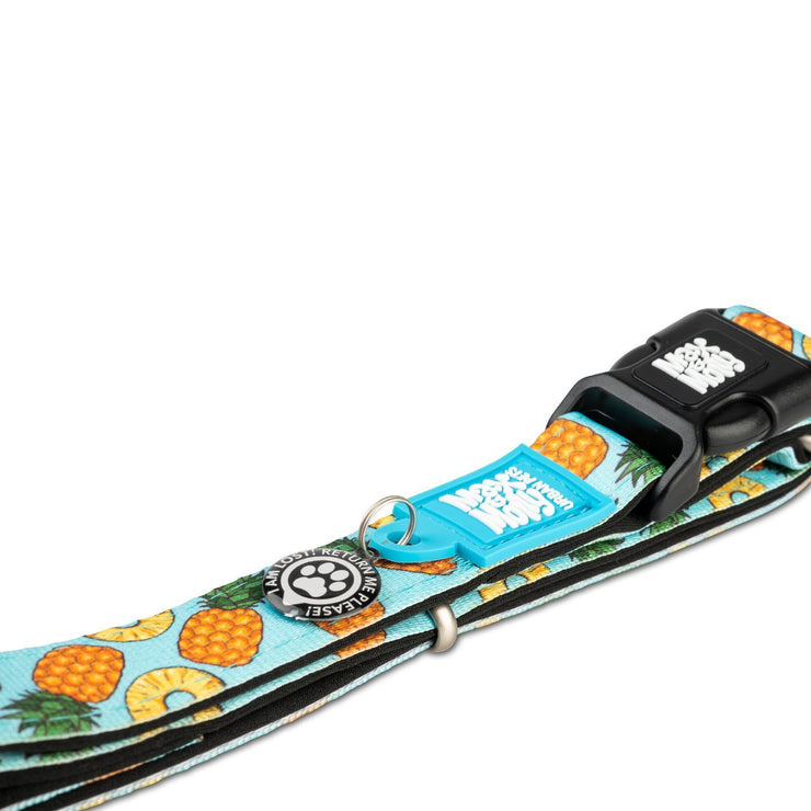 Smart ID Dog Collar - Pineapple