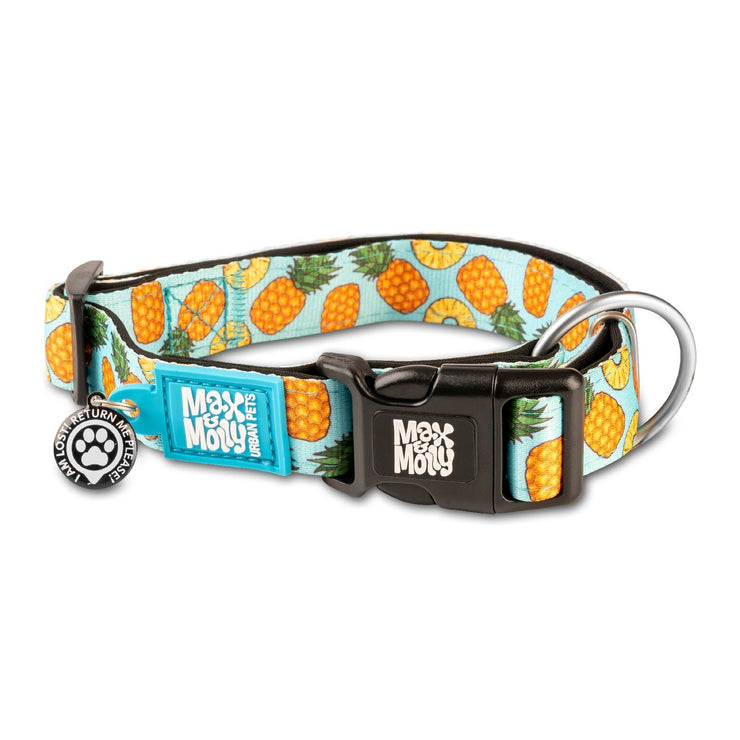 Smart ID Dog Collar - Pineapple