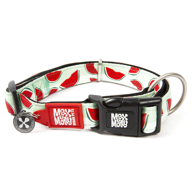 Smart ID Dog Collar - Watermelon