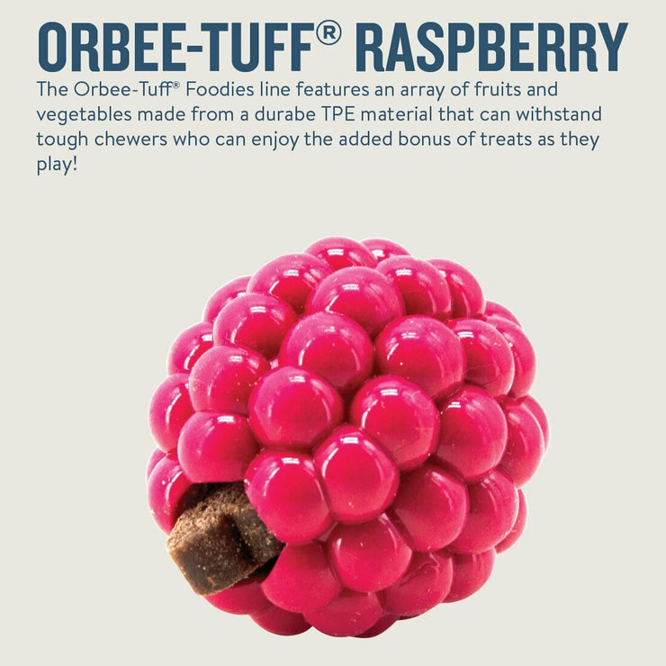 Tuff Treat Dispensing Dog Toy - Raspberry