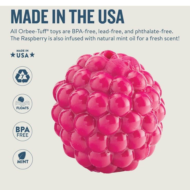 Tuff Treat Dispensing Dog Toy - Raspberry