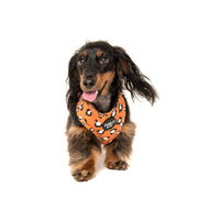 Brown Leopard Print Adjustable Harness