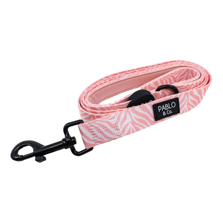 Pink Zebra Dog Leash