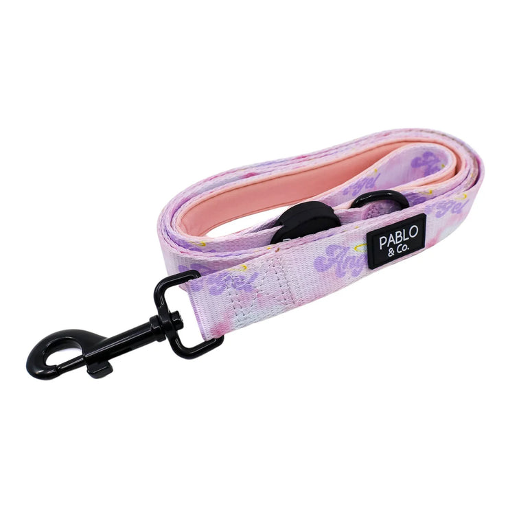 Angel Dog Leash
