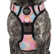 Wavy No Pull Harness