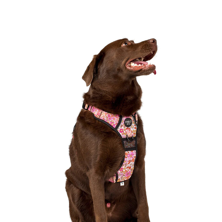 Pink Posies No Pull Harness