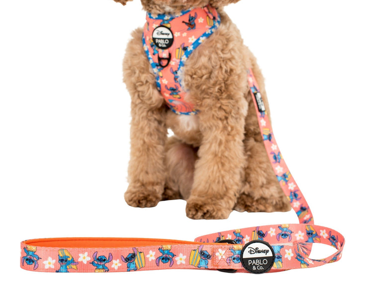 Surfin' Stitch Dog Leash