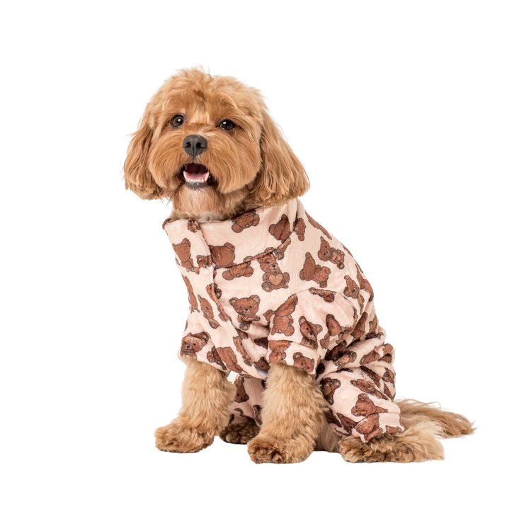 Teddy Bears Pet Onesie