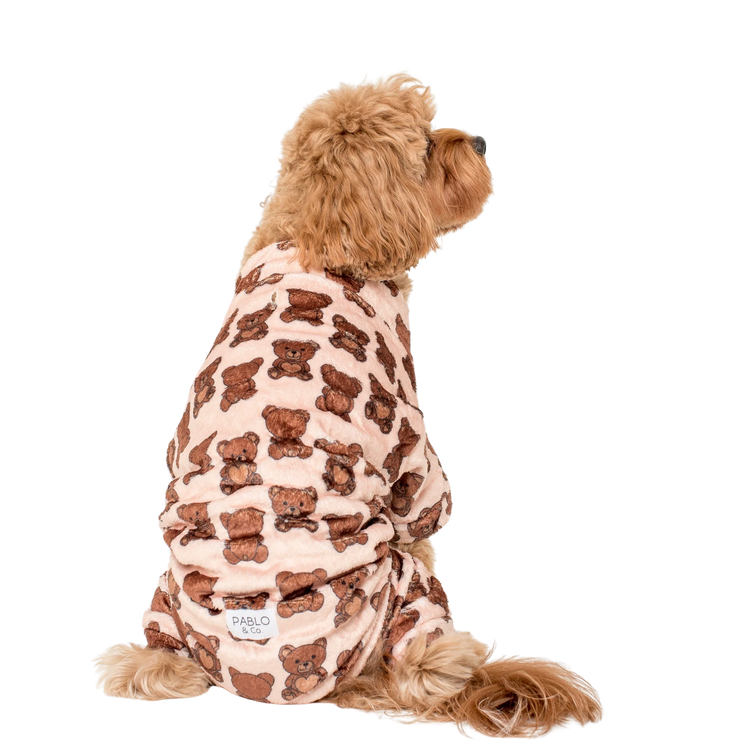 Teddy Bears Pet Onesie