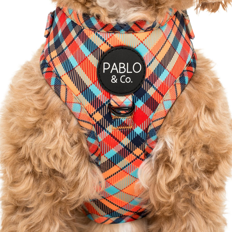 Tartan Adjustable Harness