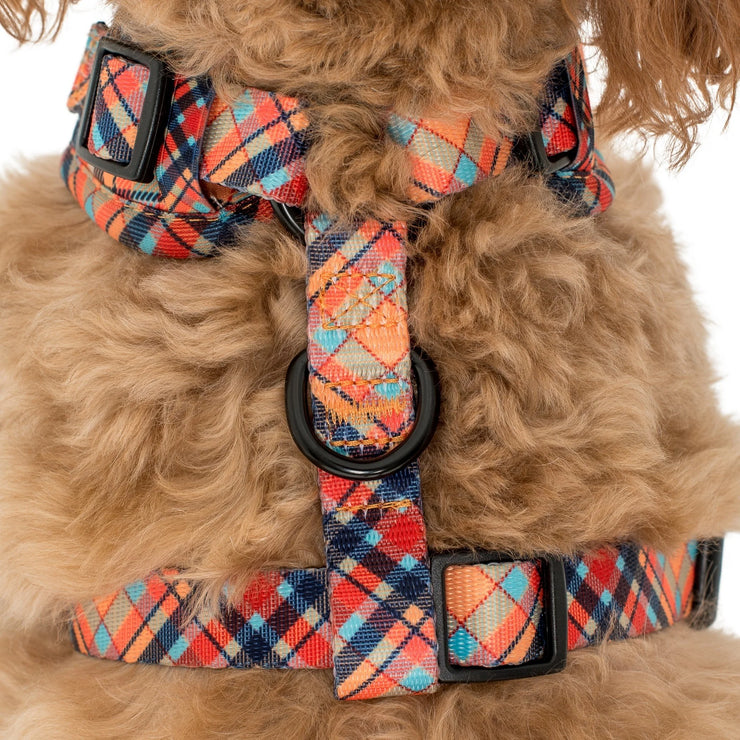 Tartan Adjustable Harness