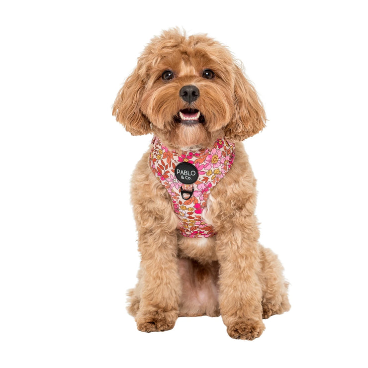 Pink Posies Flower Adjustable Harness