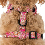 Pink Posies Flower Adjustable Harness