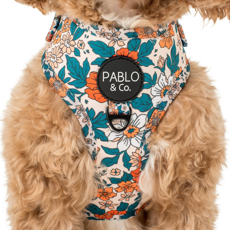 Wildflowers Adjustable Harness