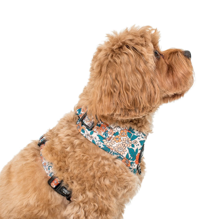 Wildflowers Adjustable Harness