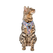 Toy Story: Bo Peep - Cat Harness + Leash Set