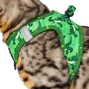 Toy Story: Rex - Cat Harness + Leash Set