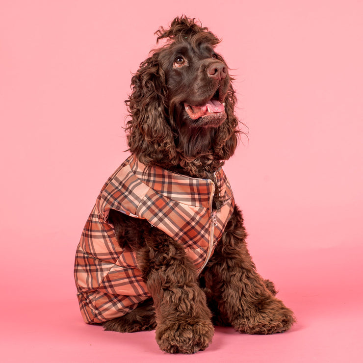 Winter Pooches Kensington Reversible Puffer Vest