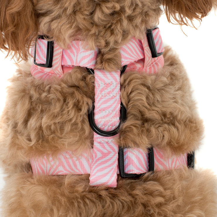 Pink Zebra Print Adjustable Harness