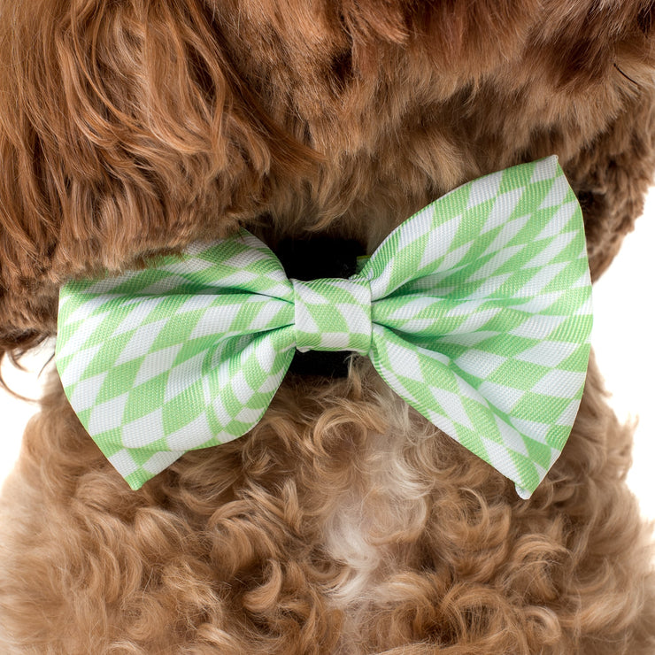 Lime Check Bow Tie