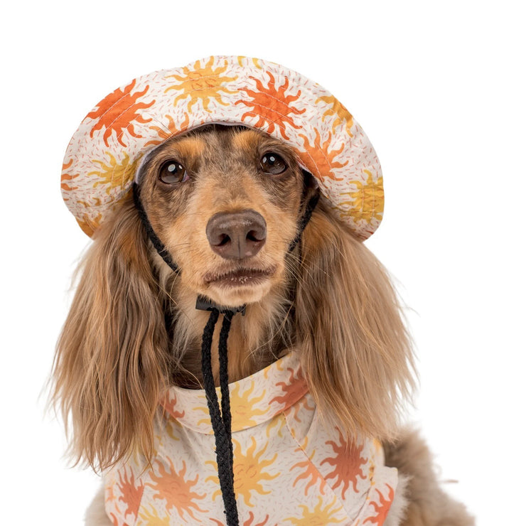 Ray of Sunshine: Dog Bucket Hat