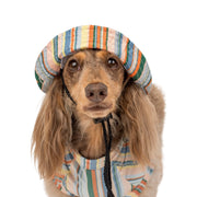 The Cabana: Dog Bucket Hat